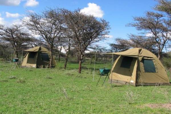 budget Kenya safari