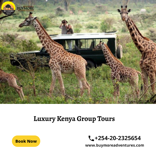 kenya group tours